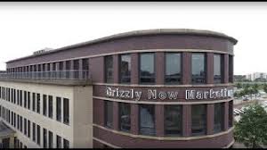 grizzly online marketing