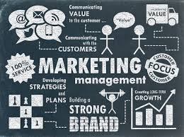 nima b online marketing