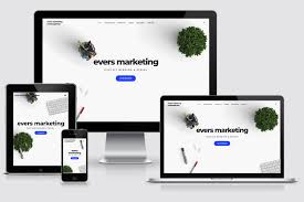 online evers marketing
