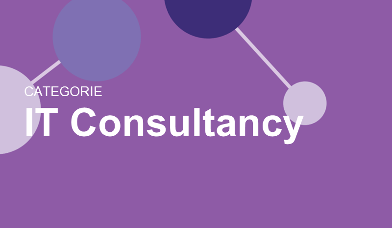 it consultancy bedrijven