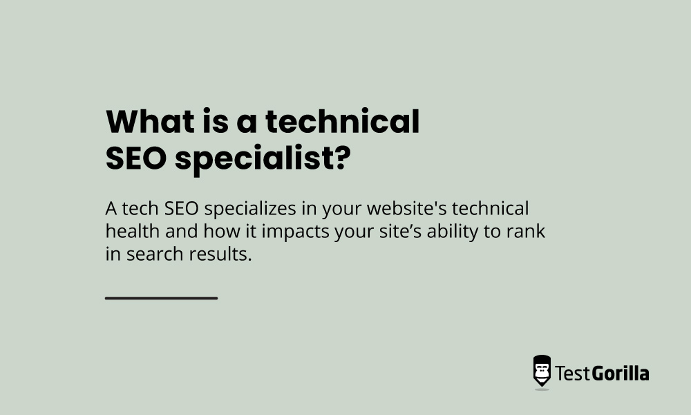 seo expert of seo specialist